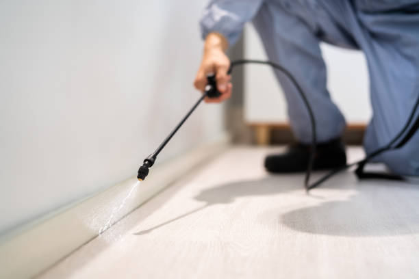 Bed Bug Pre-Treatment Preparation Assessment in Pinson