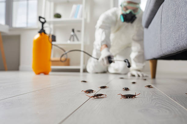 Post-Treatment Bed Bug Interceptor Monitoring in Pinson