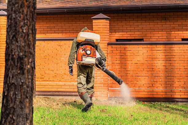 Bed Bug Clearance Verification and Documentation in Pinson
